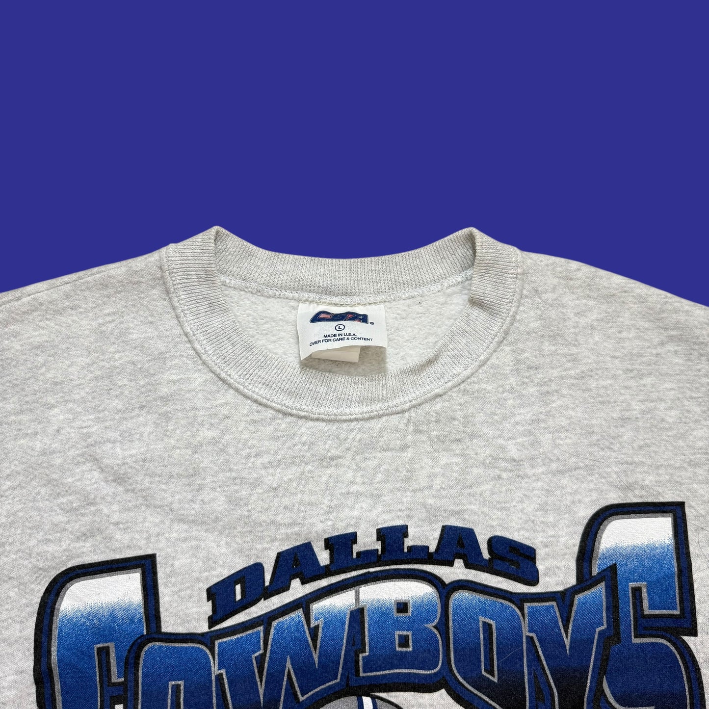 Vintage Taz Dallas Cowboys Crewneck Size L