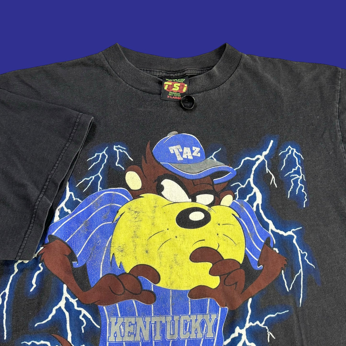 Vintage Taz Kentucky 1994 Shirt