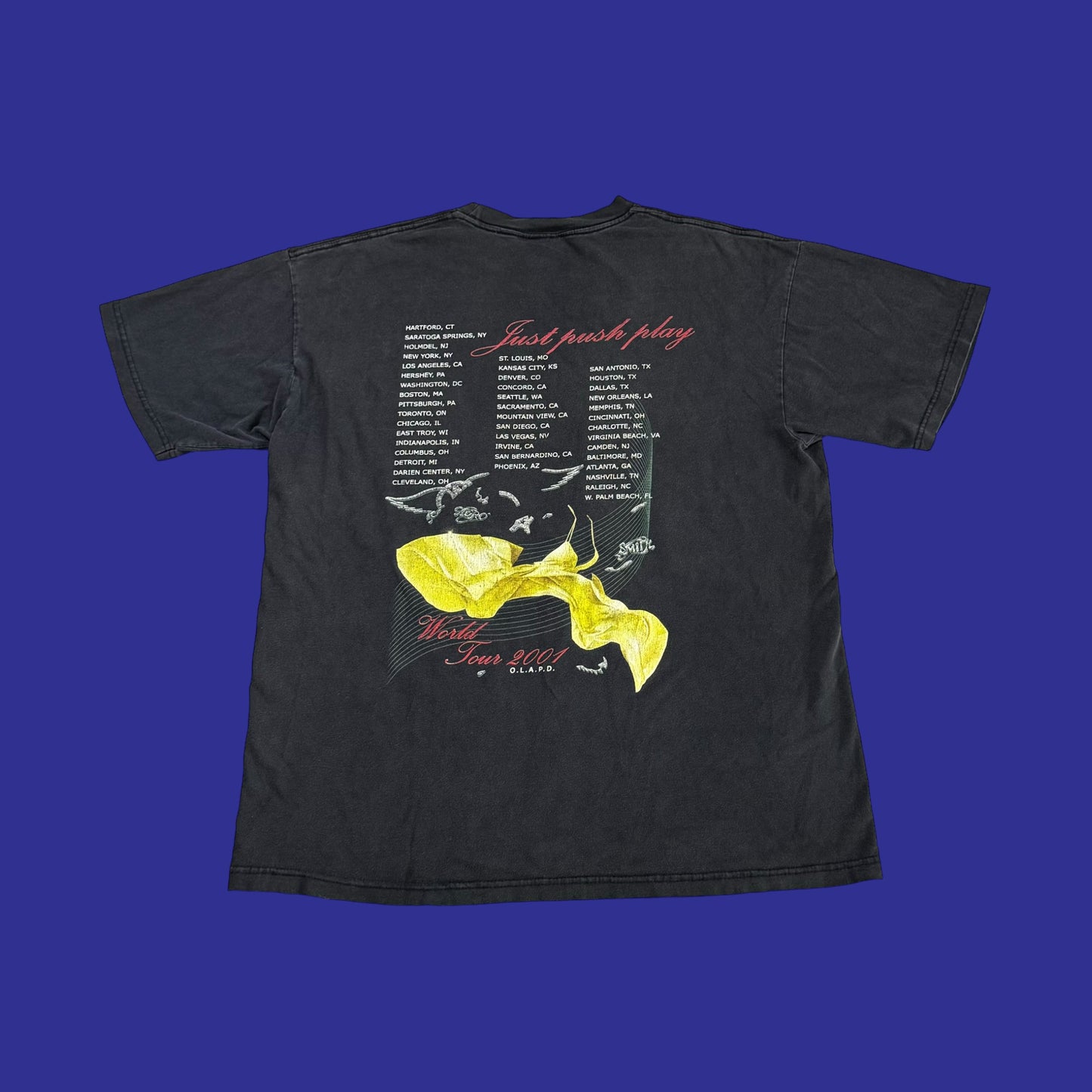 Vintage Aerosmith 2001 Tour Shirt