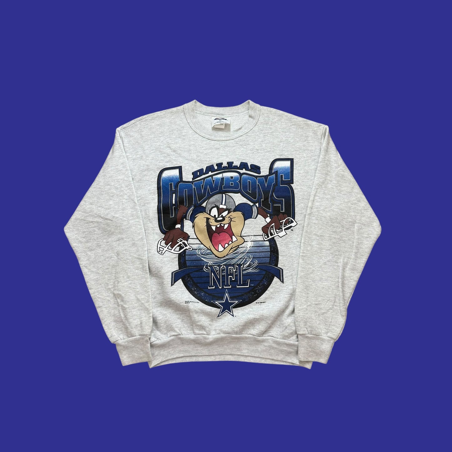 Vintage Taz Dallas Cowboys Crewneck Size L