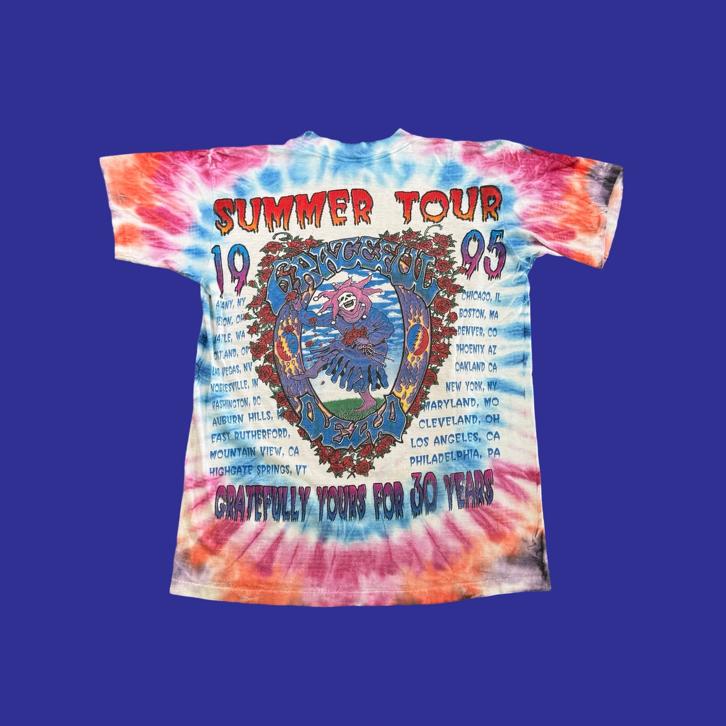 Vintage Grateful Dead 30th Anniversary 1995 Tour Shirt