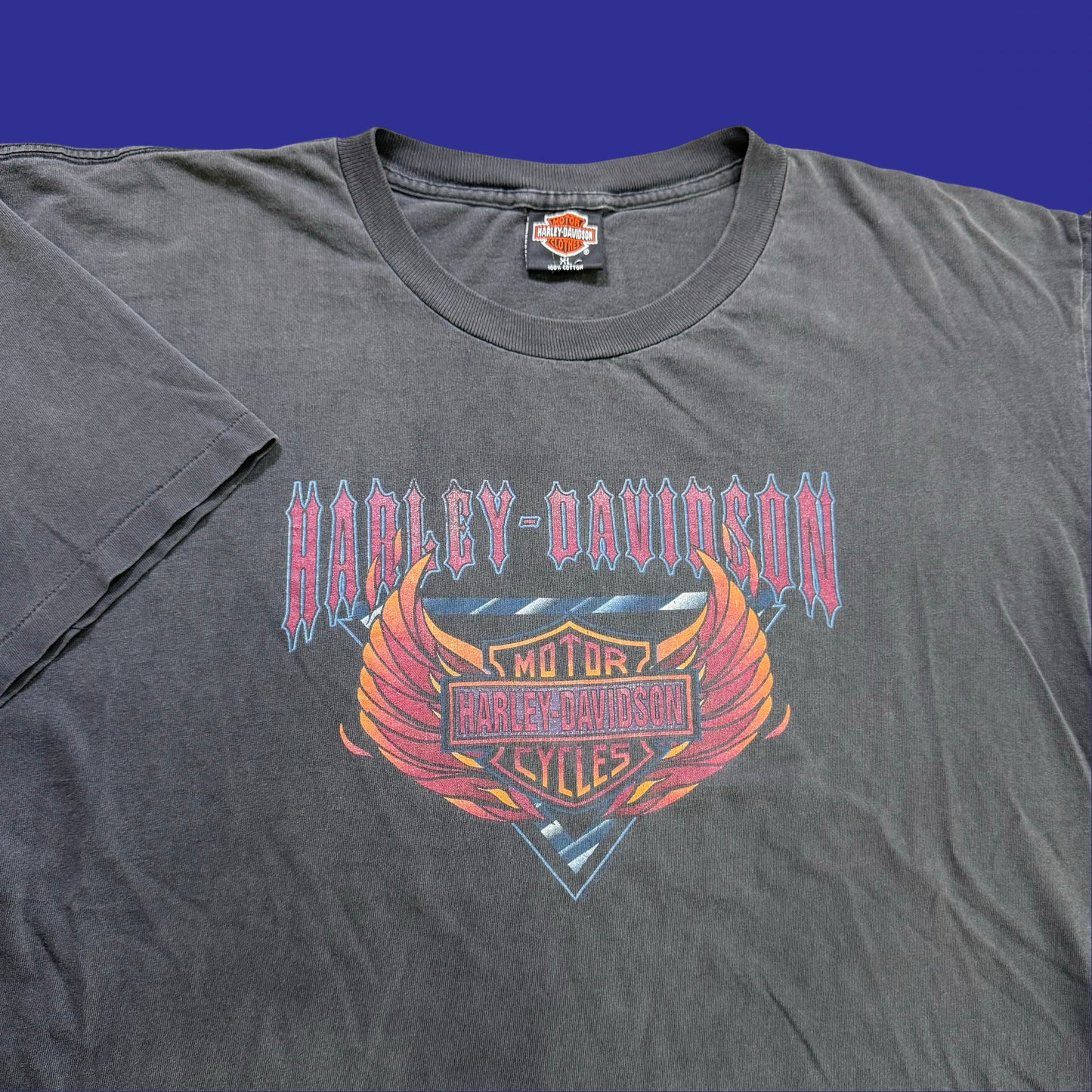 Vintage Harley Davidson Ocean State Shirt