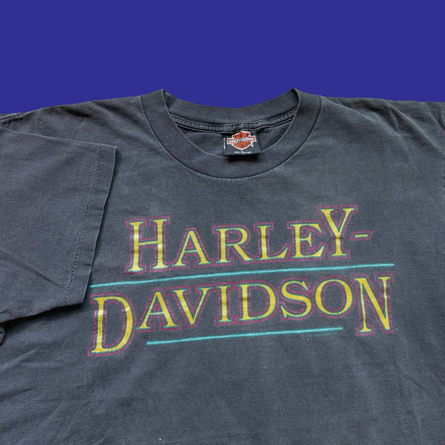 Vintage Harley Davidson Raleigh 1993 Shirt Size L