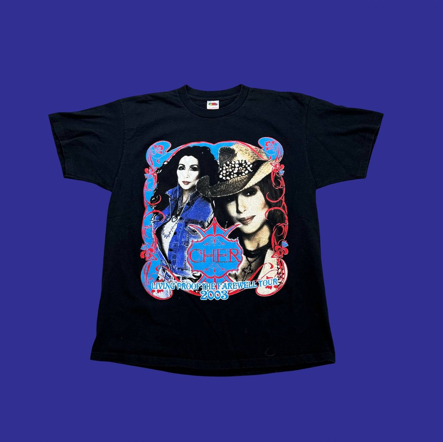 Vintage Cher Tour Shirt