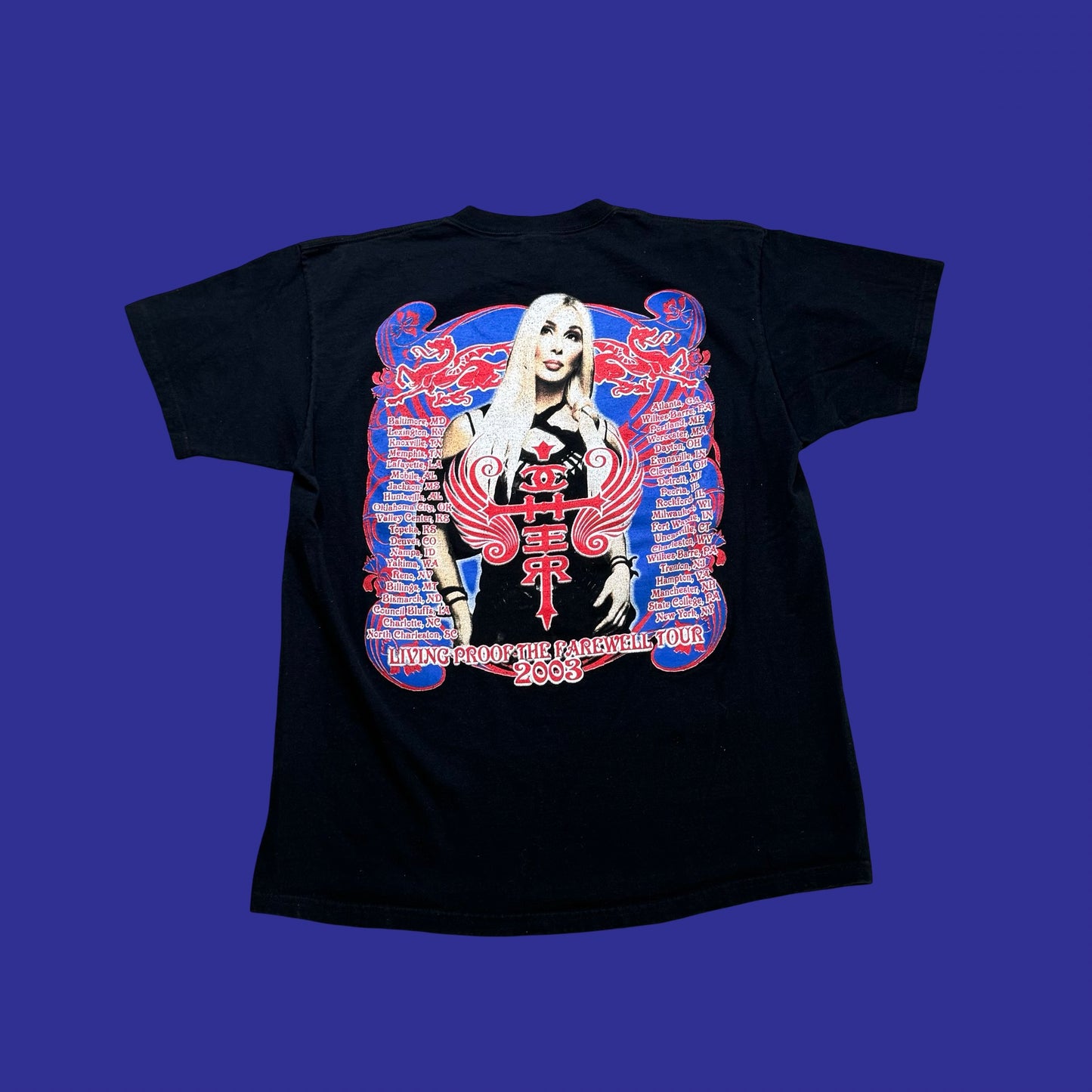 Vintage Cher Tour Shirt